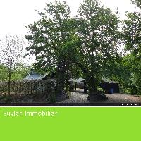 Immobilien In Der Eifel Von Ihrem Makler Suylen Immobilien Leben